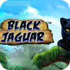 Black Jaguar slot