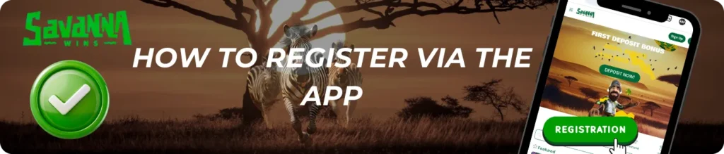 Online Casino App